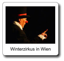 Winterzirkus in Wien