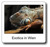 Exotica in Wien